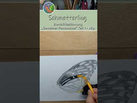 Schmetterling „Gemeiner Pantomime“ Buntstiftzeichnung - WIP Teil 1 #drawing #art #colorpencil