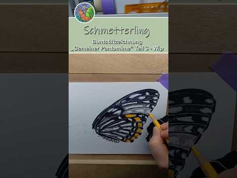 Schmetterling „Gemeiner Pantomime“ Buntstiftzeichnung - WIP Teil 3 #drawing #art #colorpencil