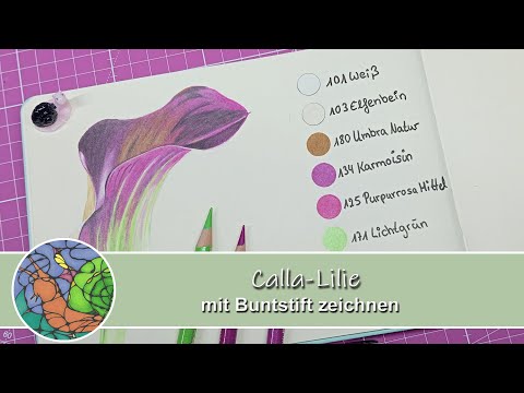 Calla-Lilie zeichnen🌸- Calla-Lilie mit Buntstiften zeichnen | Timelapse