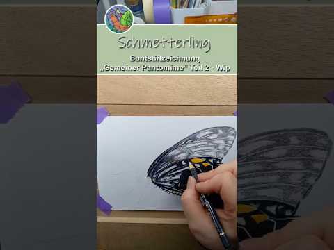 Schmetterling „Gemeiner Pantomime“ Buntstiftzeichnung - WIP Teil 2 #drawing #art #colorpencil