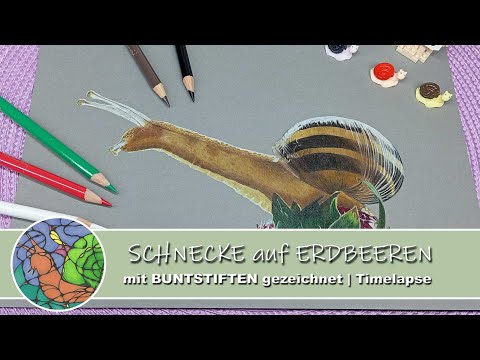 Schnecke auf Erdbeeren mit BUNTSTIFTEN gezeichnet | Timelapse