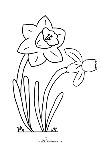 Osterglocken Malvorlage zum Ausmalen