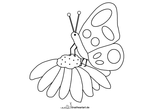 Schmetterling auf Blume - Malvorlage zum Ausmalen