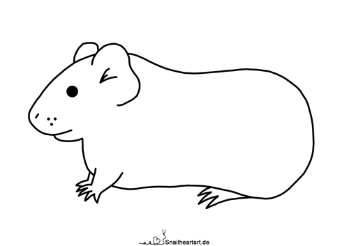 Meerschweinchen Glatthaar Malvorlage zum ausmalen