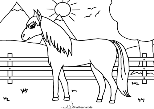 Pony auf der Weide Malvorlage zum Ausmalen
