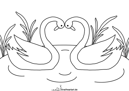 Schwäne Malvorlage zum Ausmalen