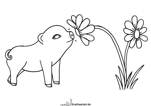 Schweinchen riecht an Blumen Malvorlage zum Ausmalen