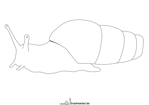 Stumpfschnecke Malvorlage zum Ausmalen
