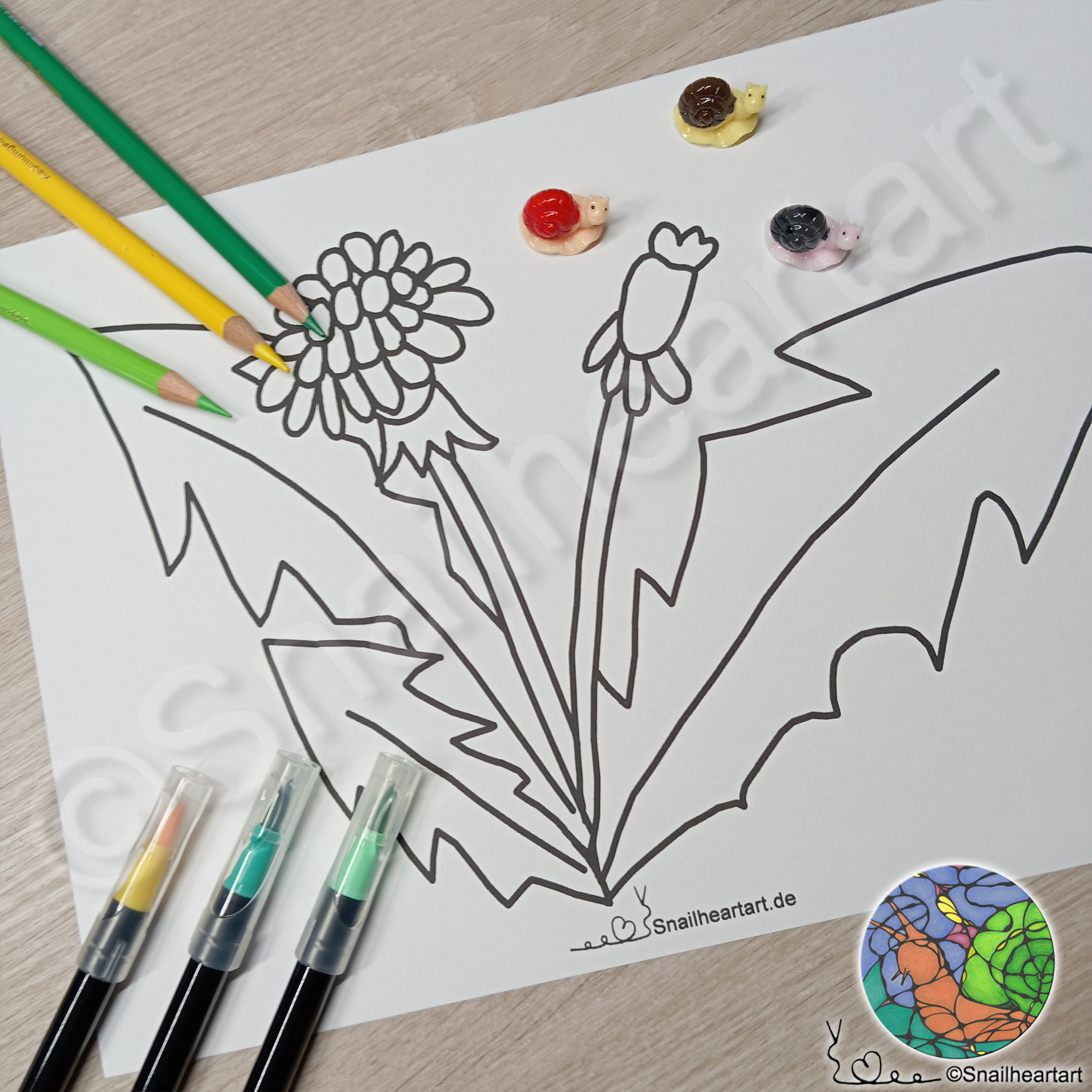 Löwenzahn – Malvorlage zum Ausmalen