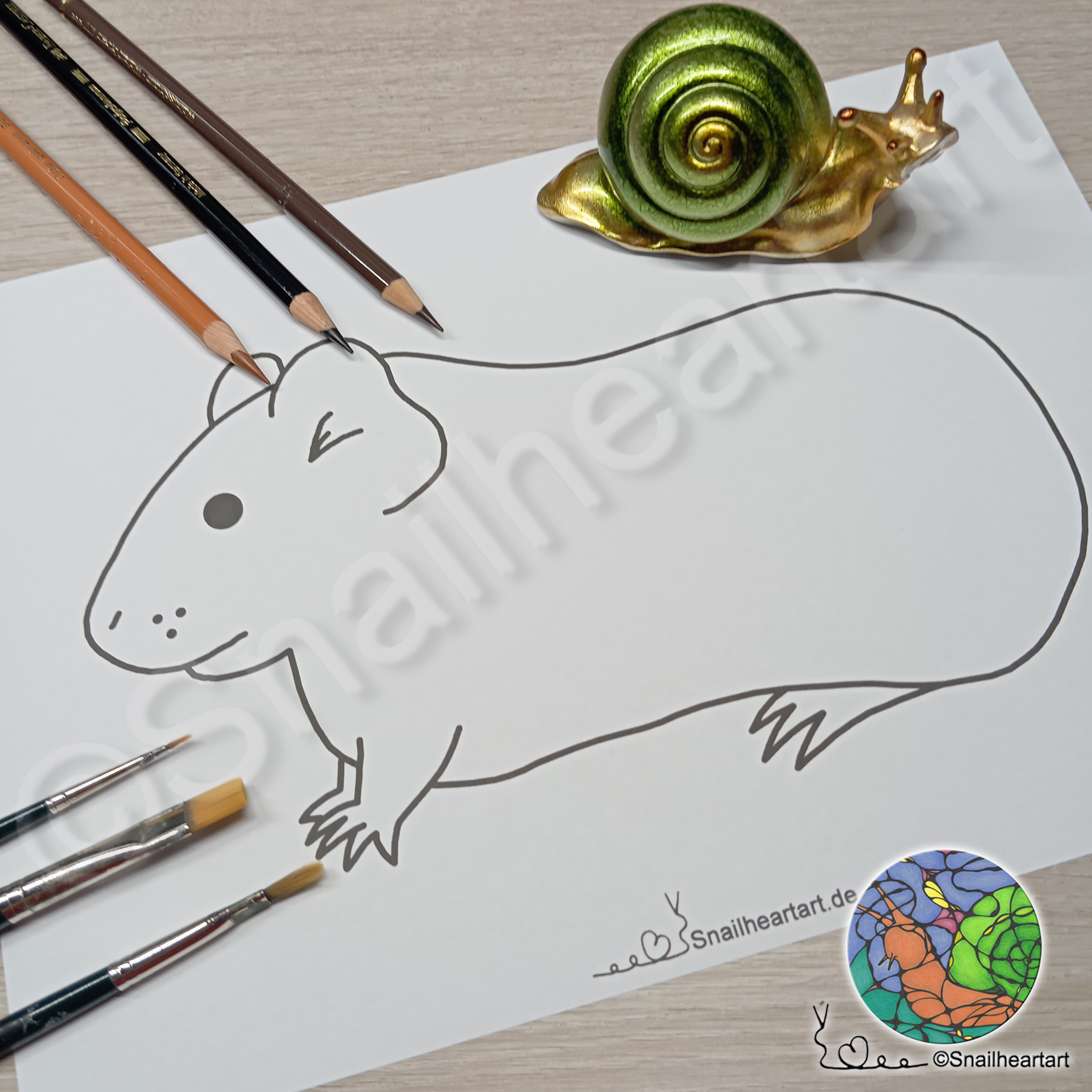 Meerschweinchen – Malvorlage zum ausmalen