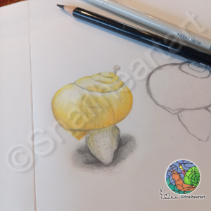 Schneckenskizze mit Buntstiften