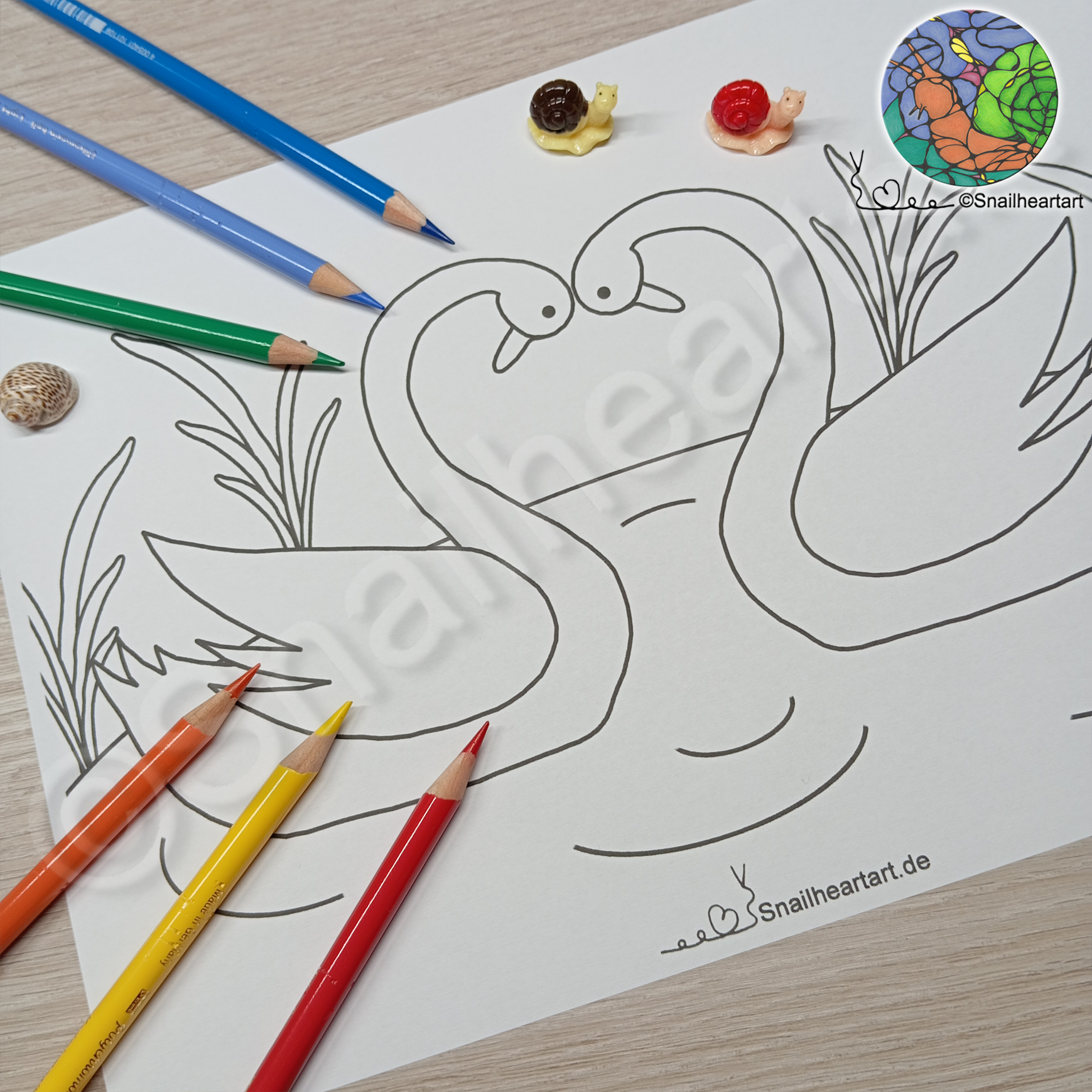 Schwäne – Malvorlage zum Ausmalen