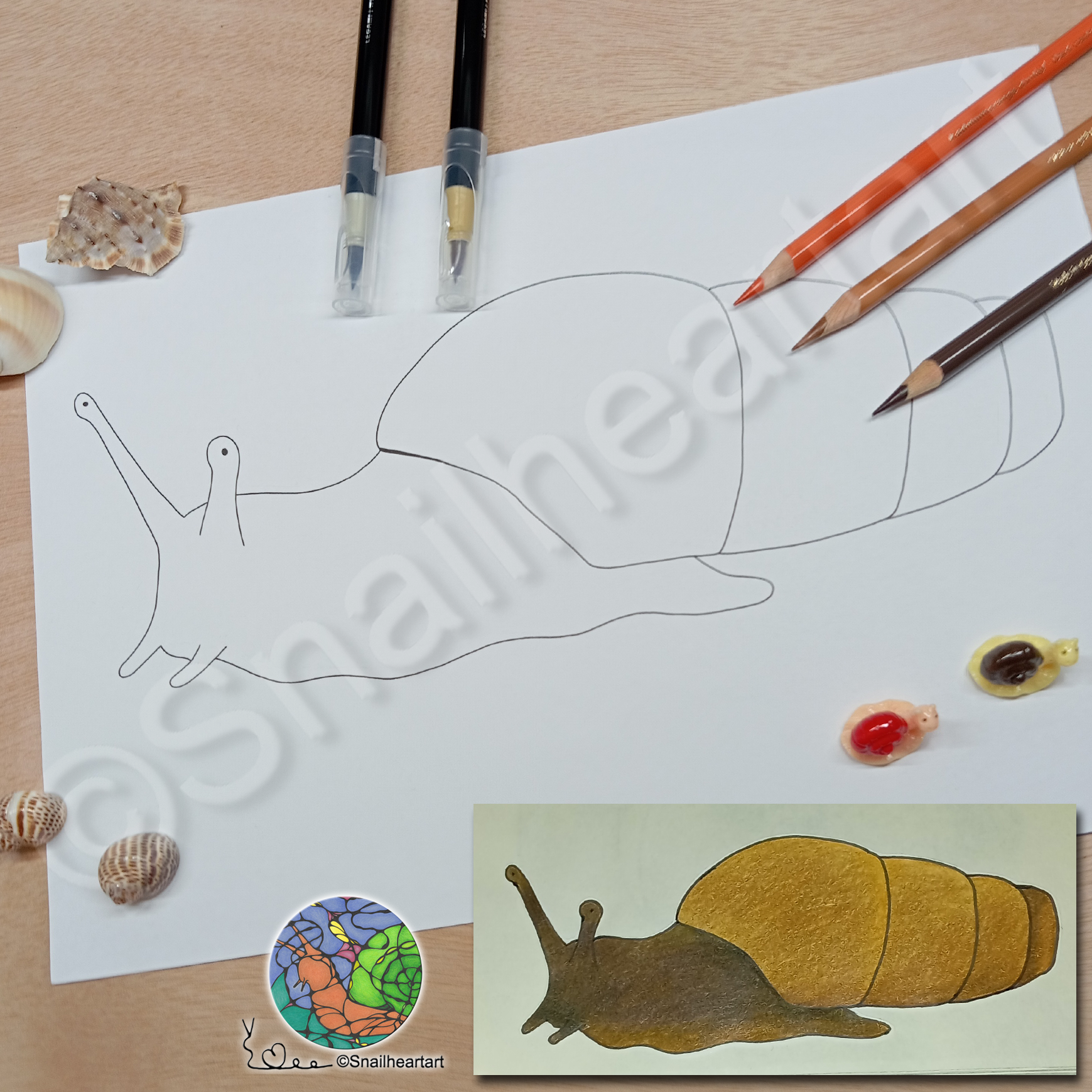 Stumpfschnecke – Malvorlage zum Ausmalen