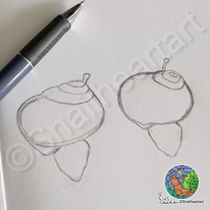 Vorzeichnung Schneckenskizze mit Buntstiften