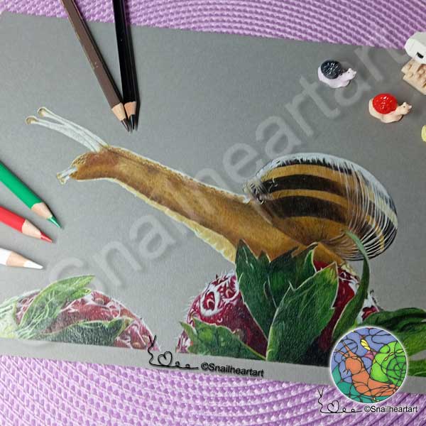 Buntstiftzeichnung Schnecke auf Erdbeeren