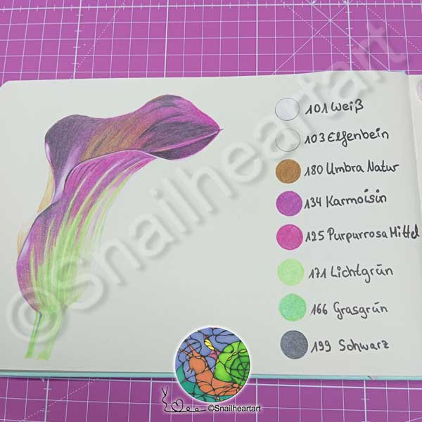 Calla-Lilie colorchart