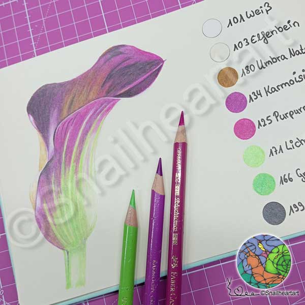 Calla-Lilie mit Buntstiften zeichnen