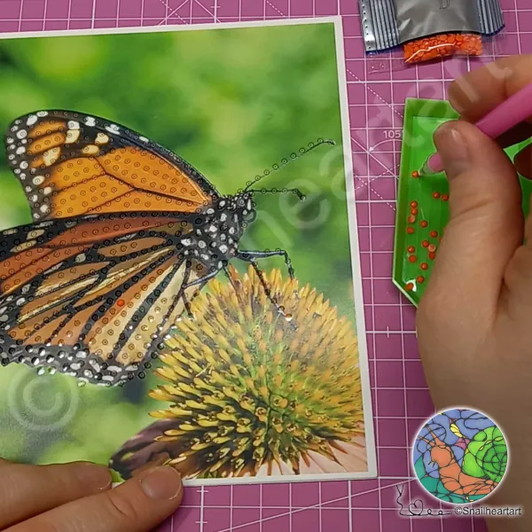 Diamond Painting Cards vom Action Schmetterling