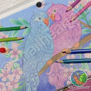 Zwei süße Vögel im Animal Colouring Book – ausgemalt mit Buntstiften
