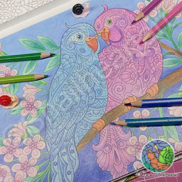 Zwei süße Vögel im Animal Colouring Book – ausgemalt mit Buntstiften